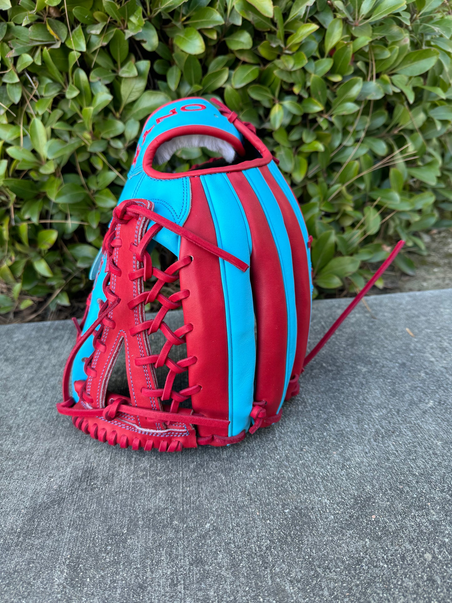 Custom ONYX Fielding Gloves