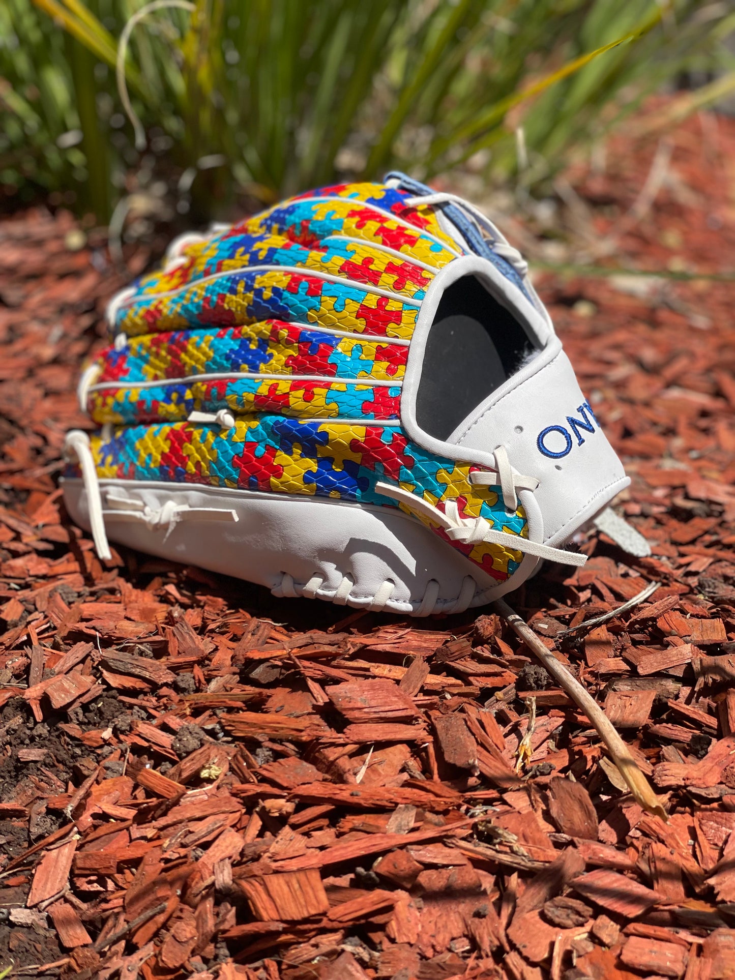 Onyx Fielding Glove - Acceptance